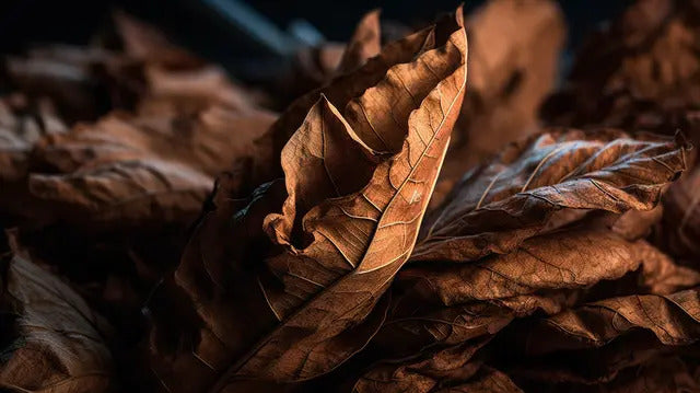 The Art of Tobacco Rolling