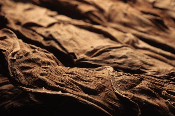 Roots of Arttisian Tobacco in Puerto Rico